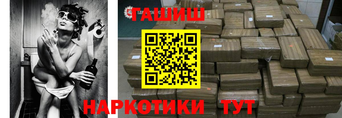Гулькевичи  ГАШ Изолятор  Вход с VPN 
