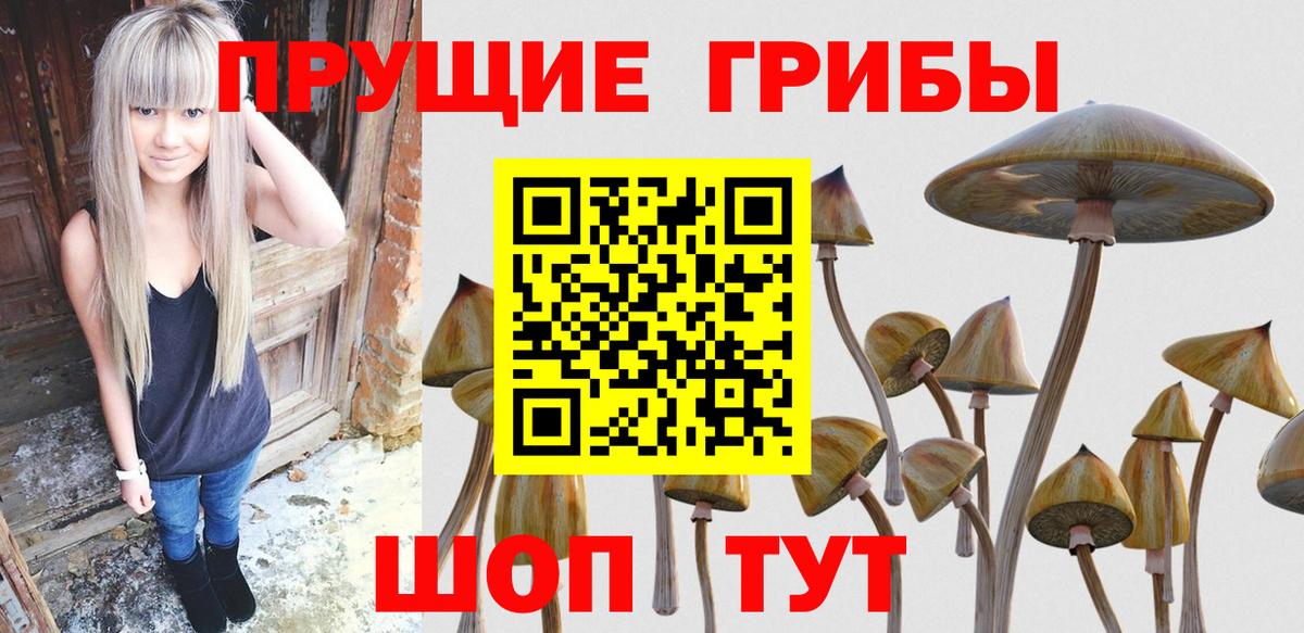 Гулькевичи  Галлюциногенные грибы прущие грибы  Вход с VPN  Псилоцибиновые грибы Magic Shrooms 